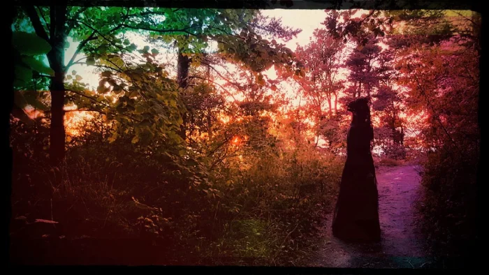 Affiche du spectacle musical Chänchän avec une silhouette noir dans une forêt multicolore